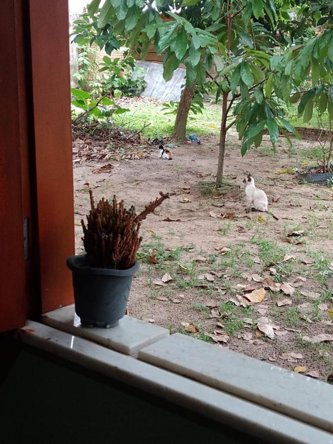 Caju Hostel 阿尔特杜尚 外观 照片
